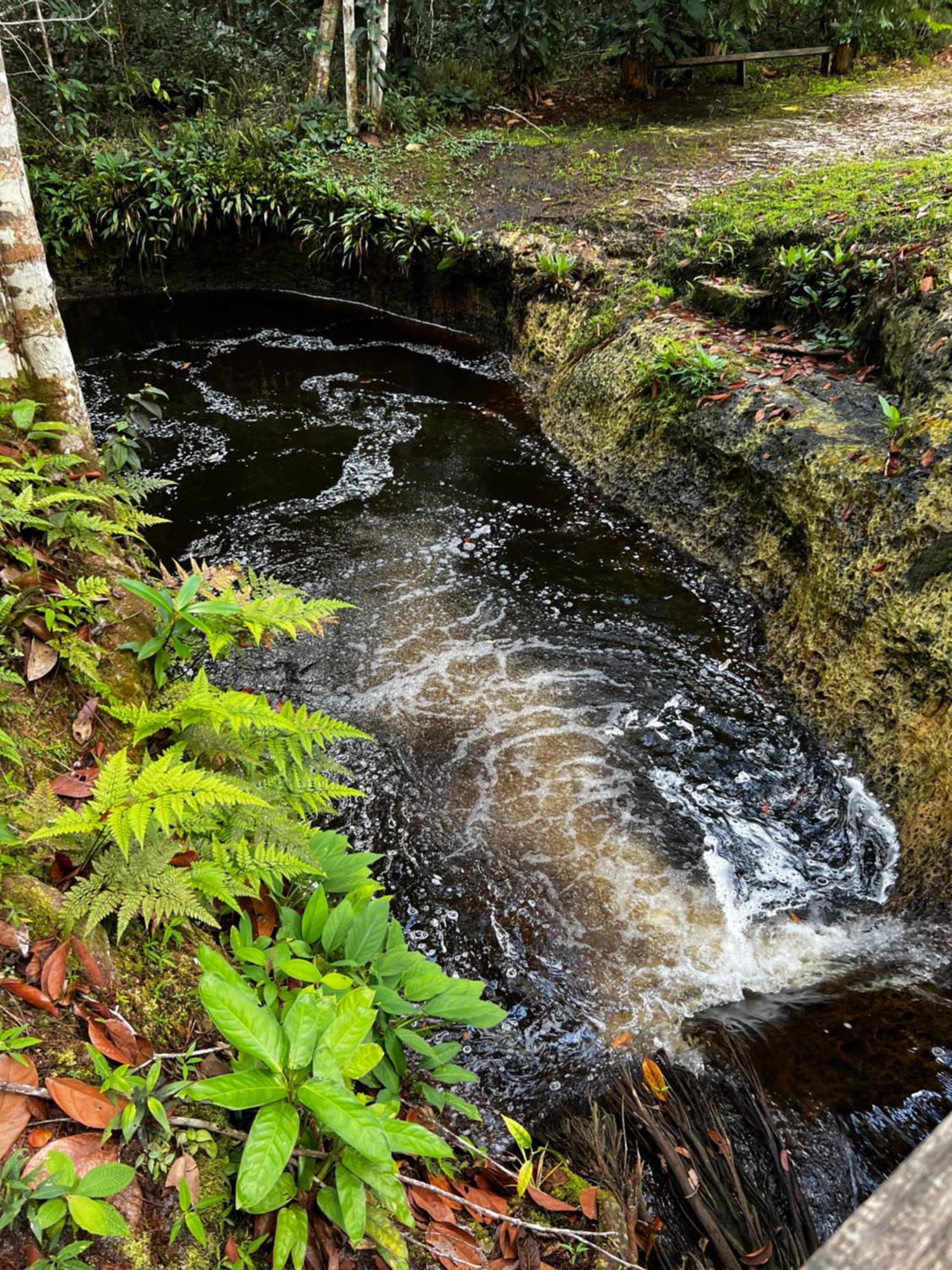 Pousada Paraiso Do Calango Azul Презіденті-Фіґейреду Екстер'єр фото