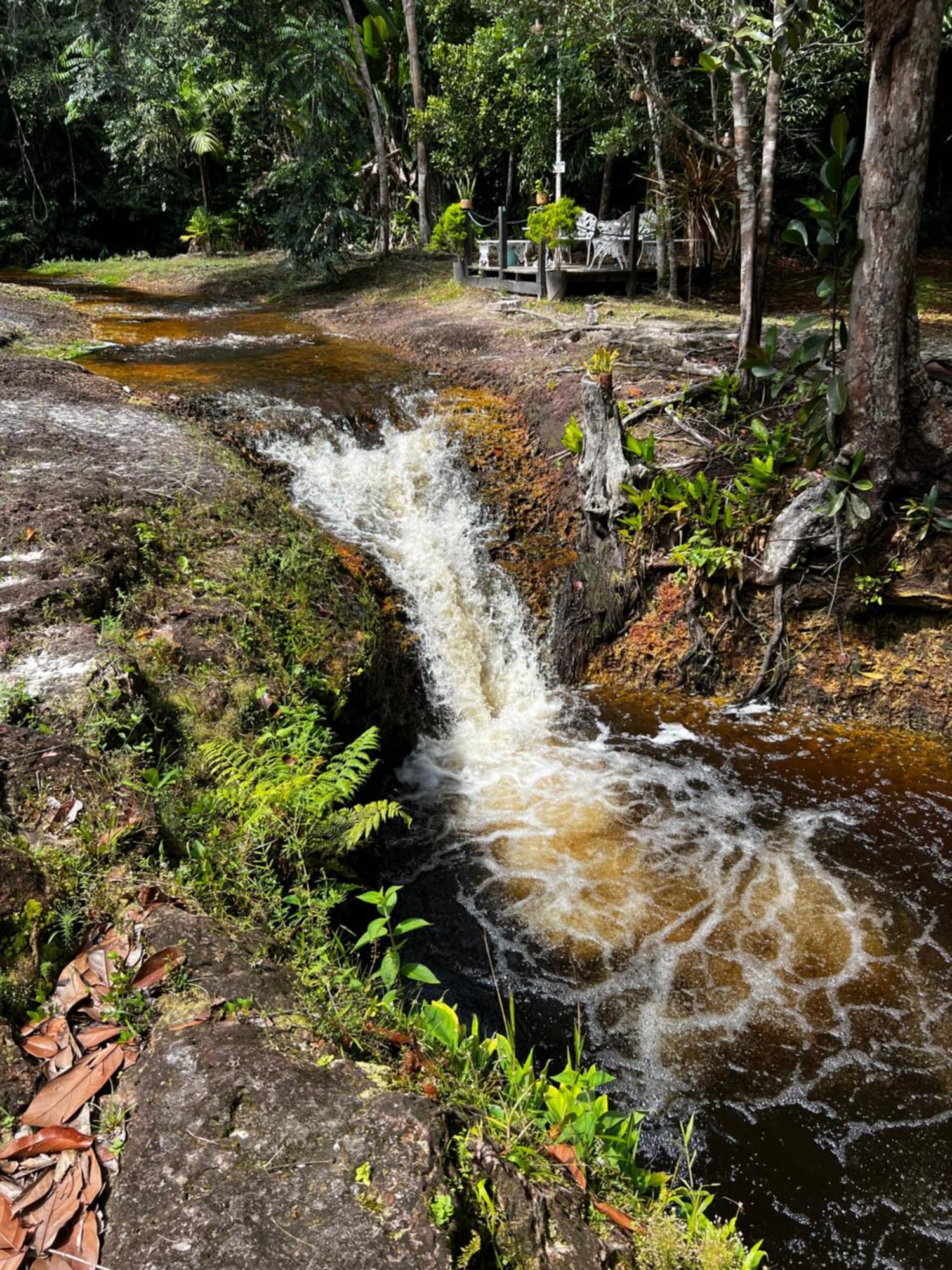 Pousada Paraiso Do Calango Azul Презіденті-Фіґейреду Екстер'єр фото